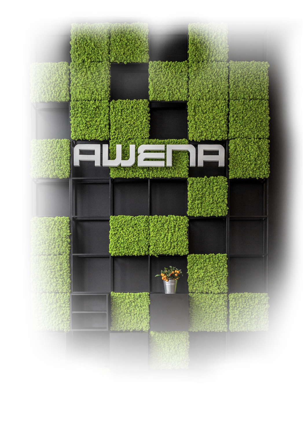 Awena Logo Box